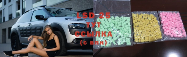 spice Вяземский