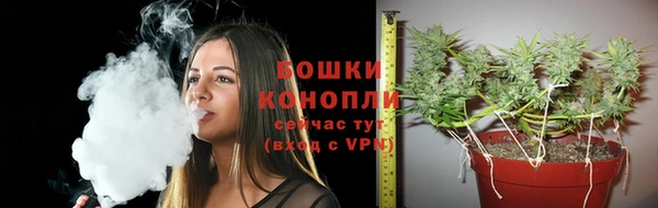spice Вяземский