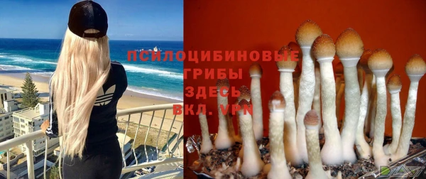 герыч Вязники