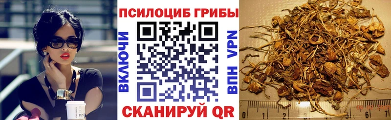 Псилоцибиновые грибы мухоморы  Кострома 