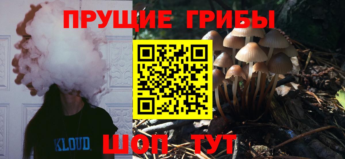 Галлюциногенные грибы мицелий Кострома
