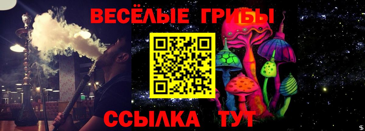 купить   Галлюциногенные грибы Psilocybe  Кострома  Вход с VPN  Галлюциногенные грибы Cubensis 